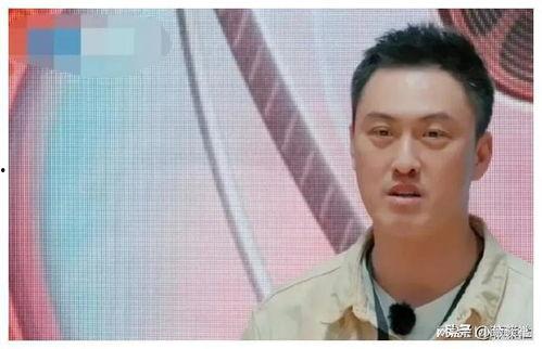 娱乐圈吃瓜爆料男生,揭秘那些被隐藏的男星秘密